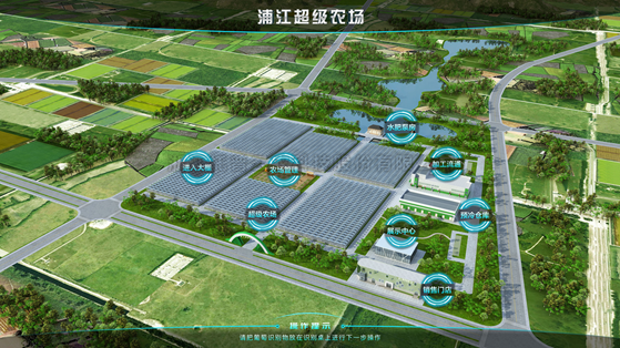 浦江超級農(nóng)場：科技賦能讓種植更高效