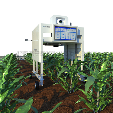 田間無人車式高通量植物表型采集分析平臺(tái) 