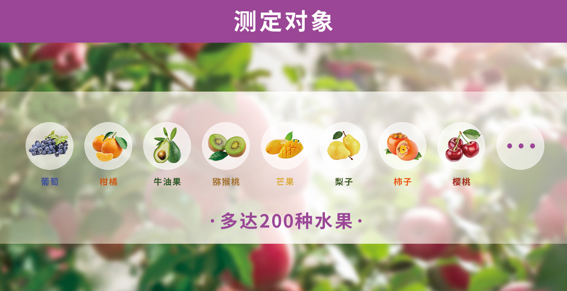 水果品質(zhì)無損檢測(cè)儀測(cè)定對(duì)象