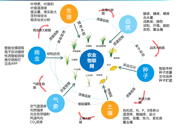 托普云農(nóng)打造的全要素智能采集系統(tǒng)