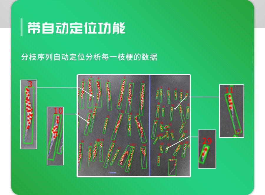 水稻整穗考種測量系統(tǒng)