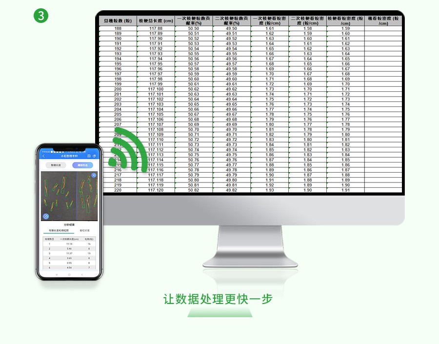 水稻整穗考種測量系統(tǒng)