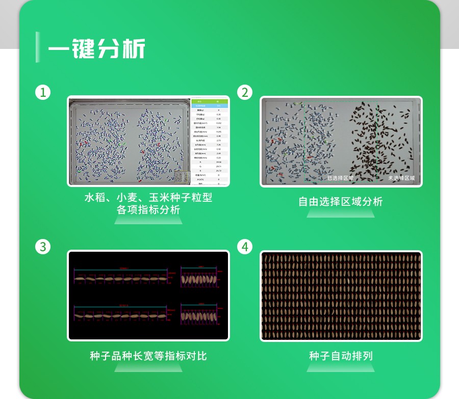 智能考種分析系統(tǒng)