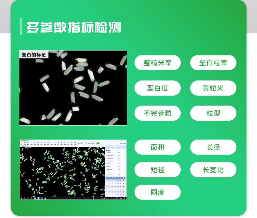 大米外觀品質(zhì)檢測(cè)儀