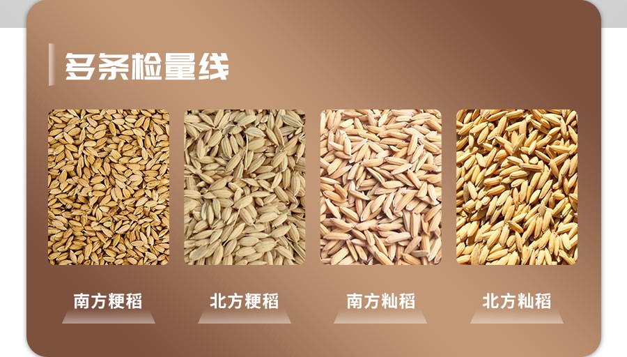 稻谷新鮮度測(cè)定儀